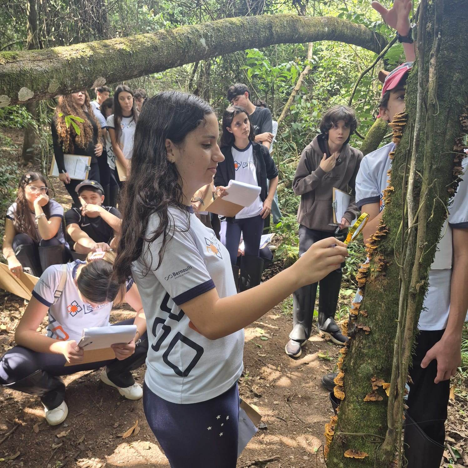 Estudantes observando fungos e a vida da floresta em aula de campo no Centro Ambiental Cedro, em Oliveira/MG